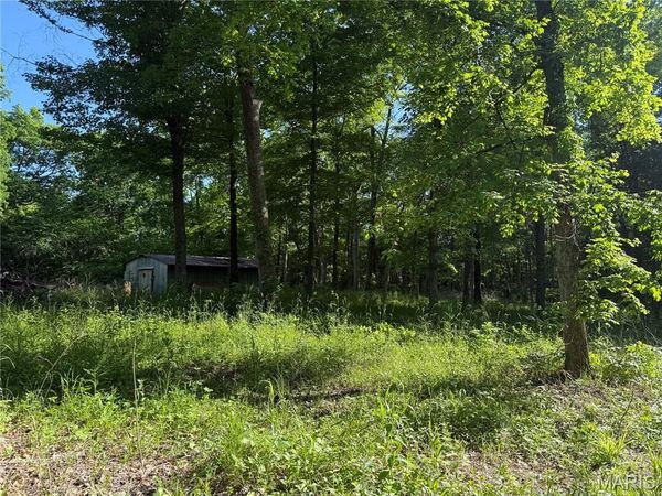0 Rustic Acres Drive, Bonne Terre, MO 63628