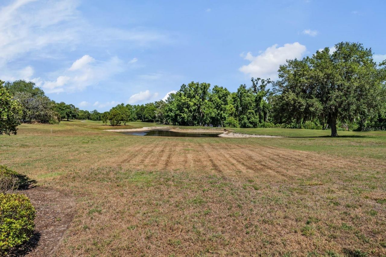 13327 Carnoustie Circle, Dade City, FL 33525 Photo