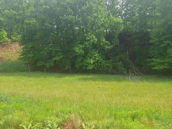 Lot 67 Hillside, Morganton, GA 30560