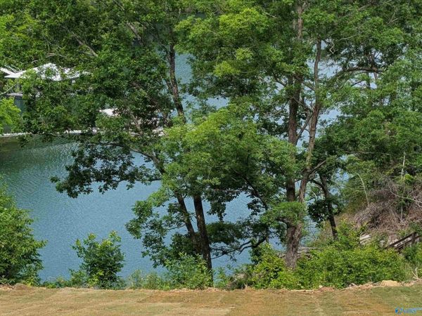 1543 Sipsey Overlook Road, Double Springs, AL 35553