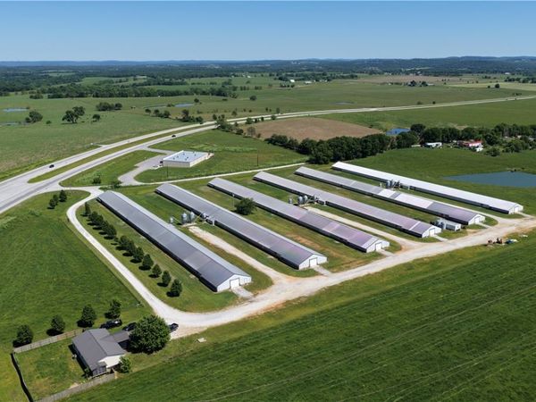 772 Madison 8235 , Hindsville, AR 72738