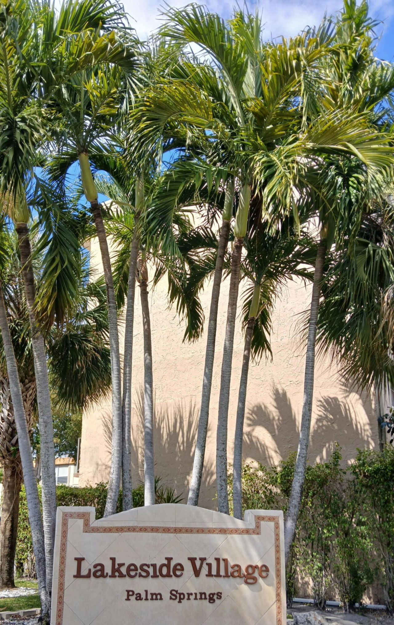 709 Lori Drive, Unit 215, Palm Springs, FL 33461 Photo