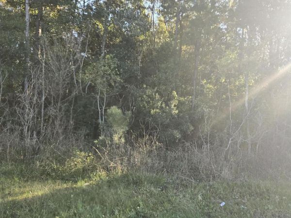 Allen Road, Gautier, MS 39553