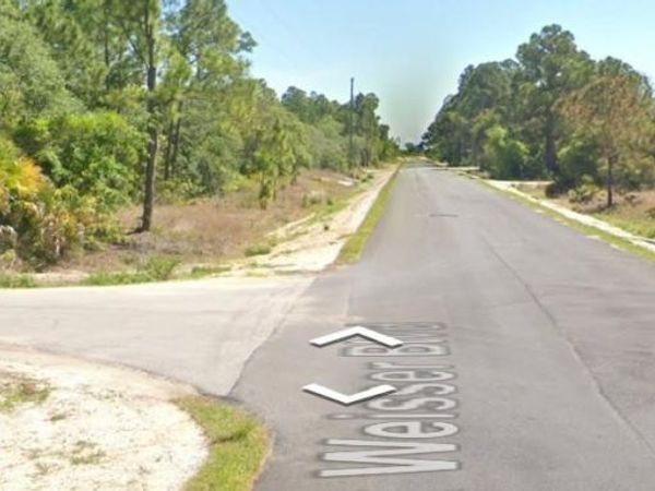 356 JACK WEISSER BOULEVARD , LAKE PLACID, FL 33852