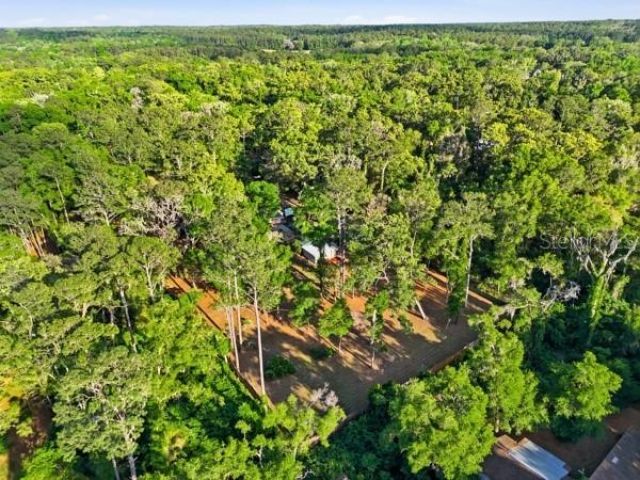 3630 NW 136th Street, Gainesville, FL 32606 Photo