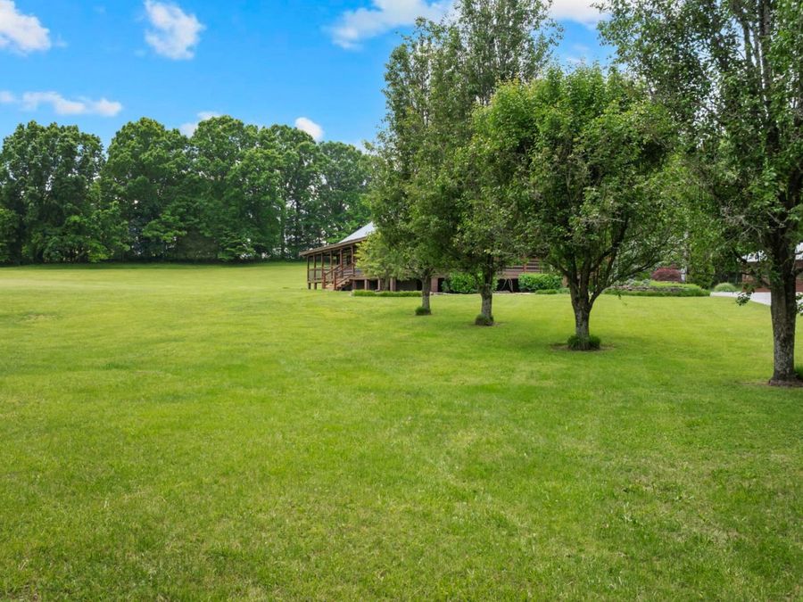 Property Image 87