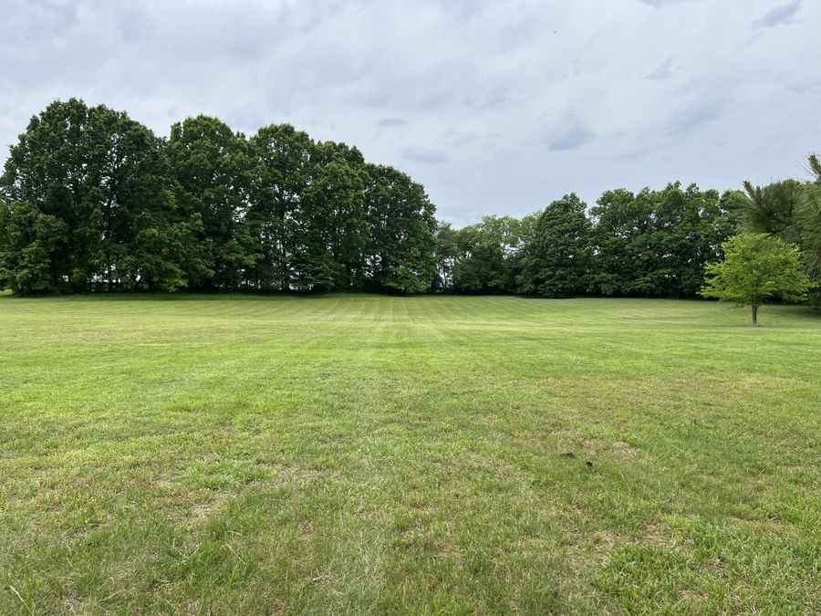 Property Image 89