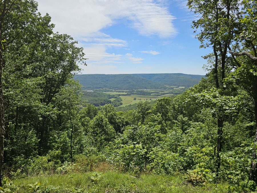 Property Image 18
