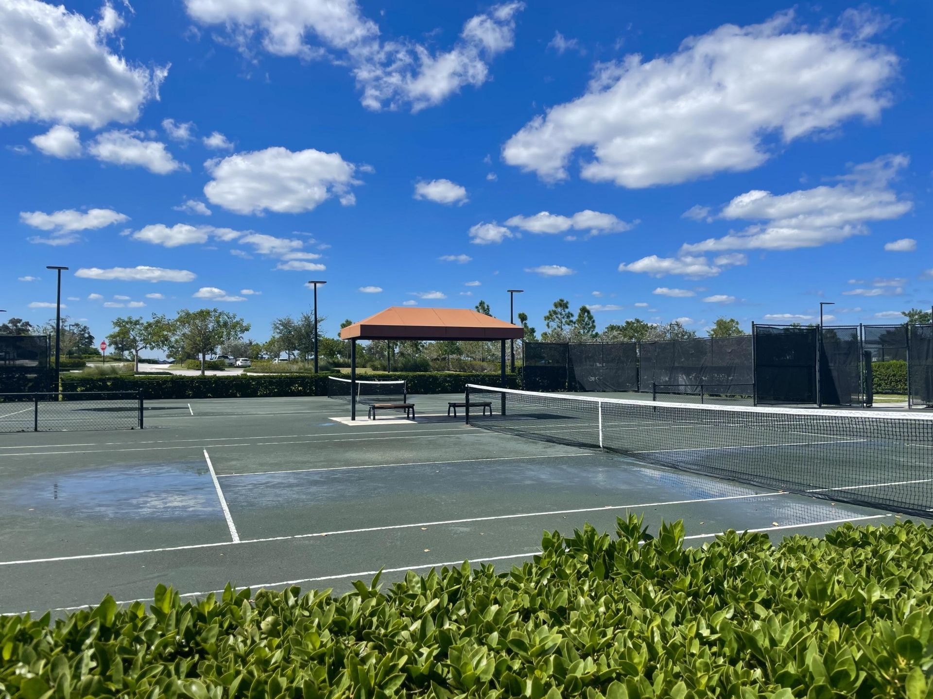 1283 Tangled Orchard Trace, The Acreage, FL 33470 Photo