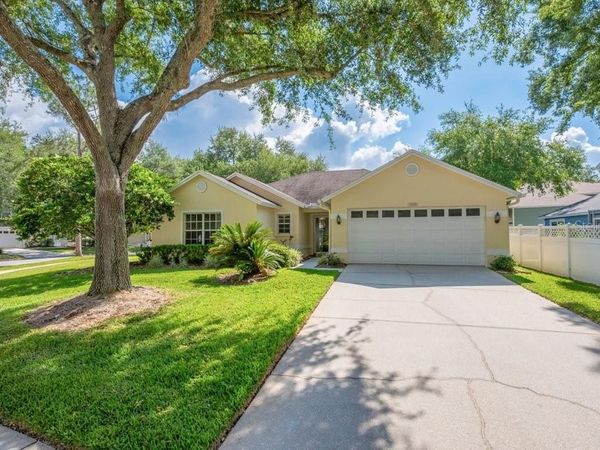 17610 ESPRIT DRIVE, TAMPA, FL 33647