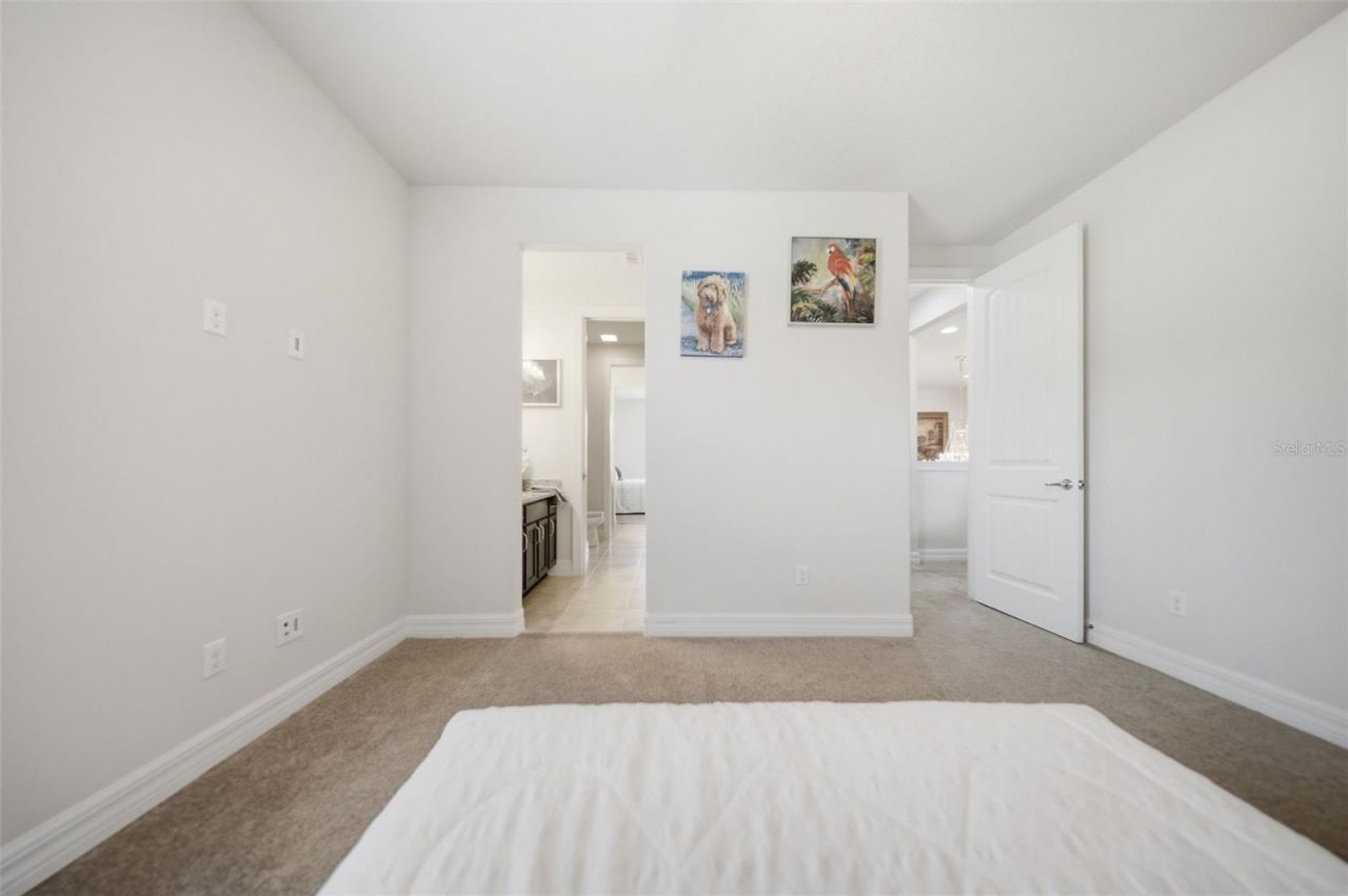 10902 Citron Oaks Drive, Orlando, FL 32836 Photo