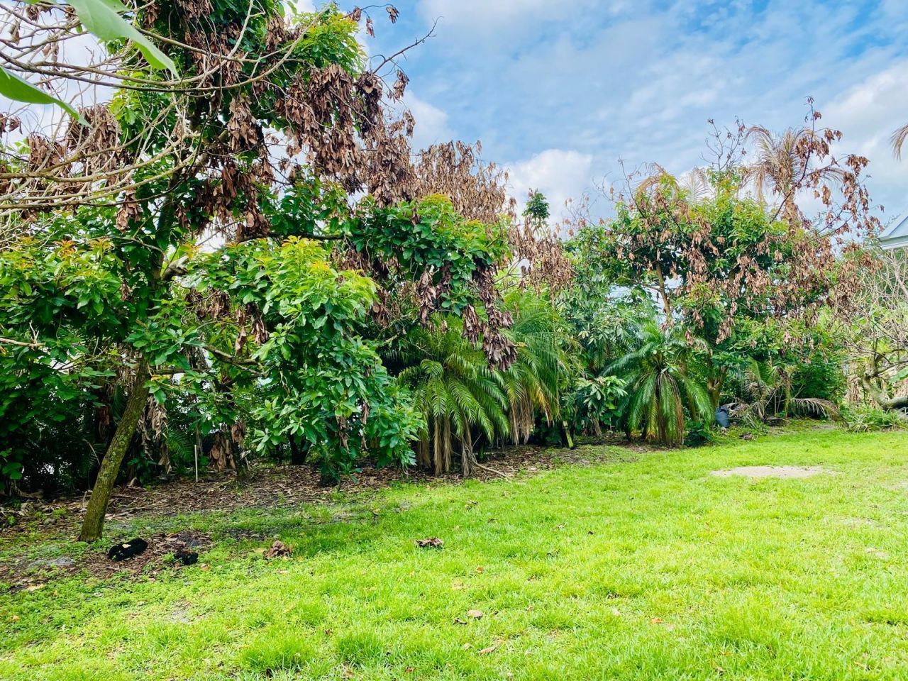 5952 NW Baynard Drive, Port Saint Lucie, FL 34986 Photo