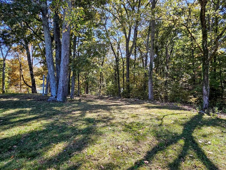Property Image 47
