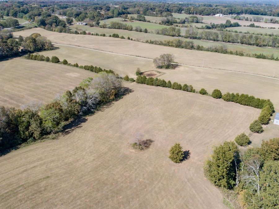 Property Image 63