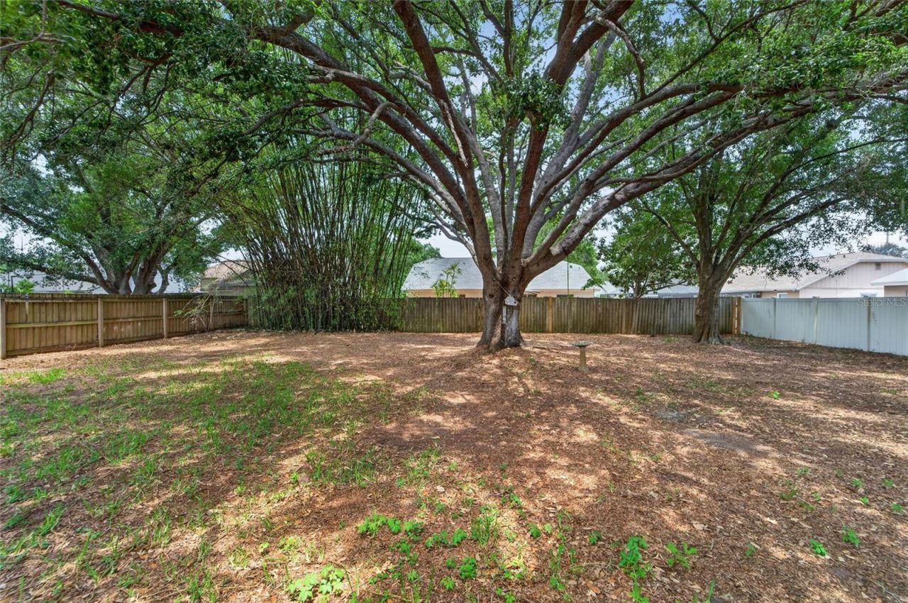 12014 Vermillion Way , Riverview, FL 33569 Photo