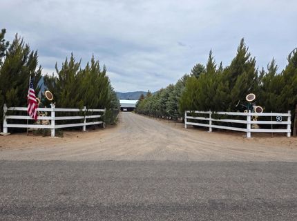 90 Artist View Road, Wellington, NV 89444 Photo