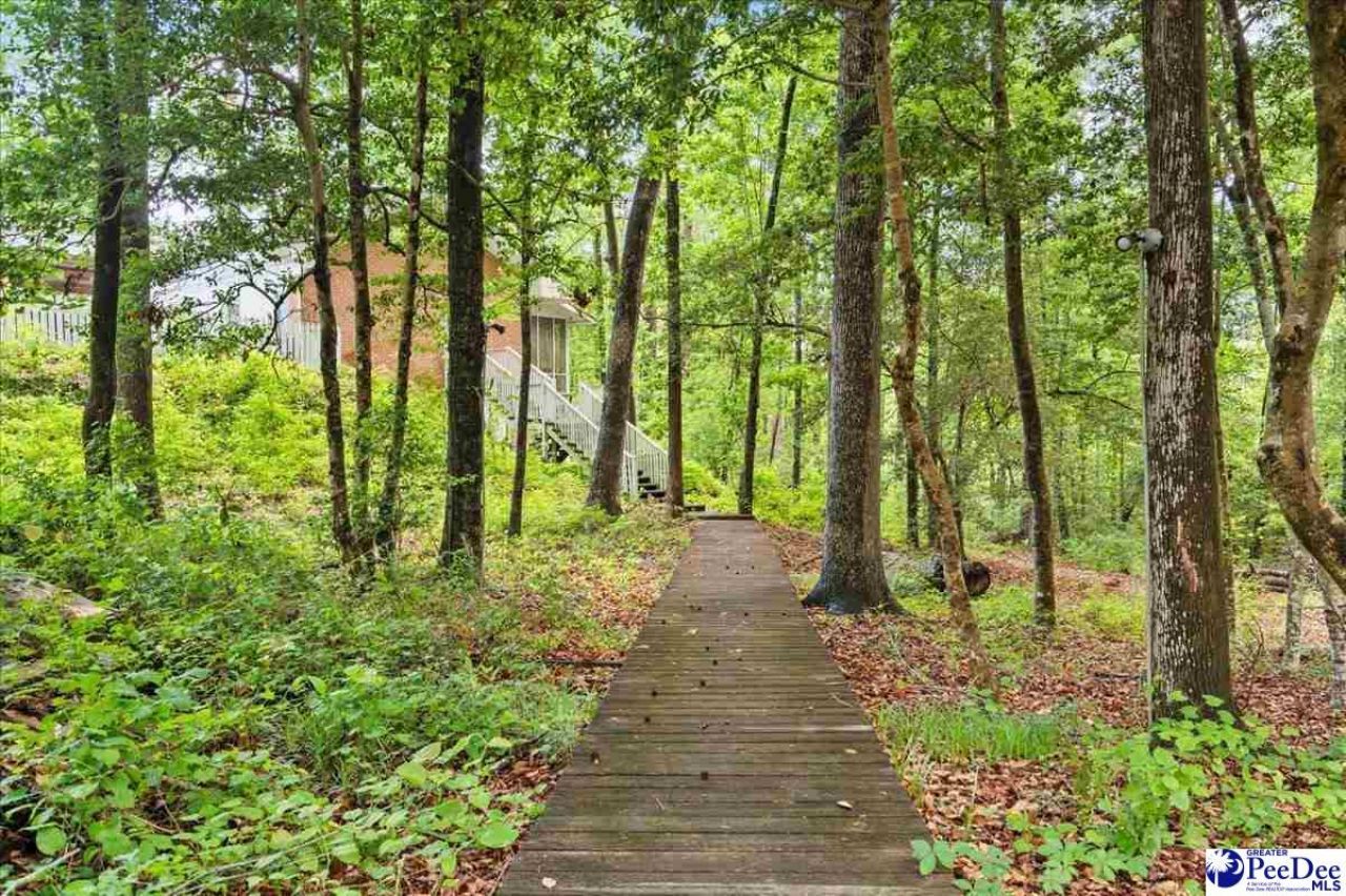 209 Fairway Rd Photo 61