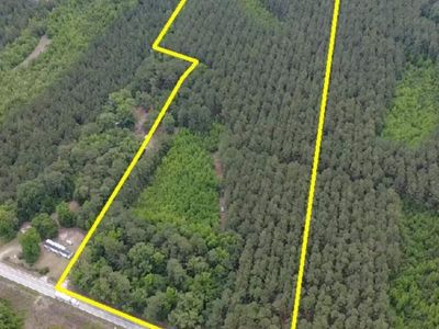 9214 Kingstree Hwy (Tract A), Greeleyville, SC 29056