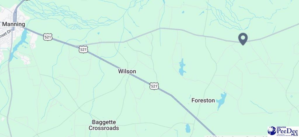 9214 Kingstree Hwy (tract A) Photo 14