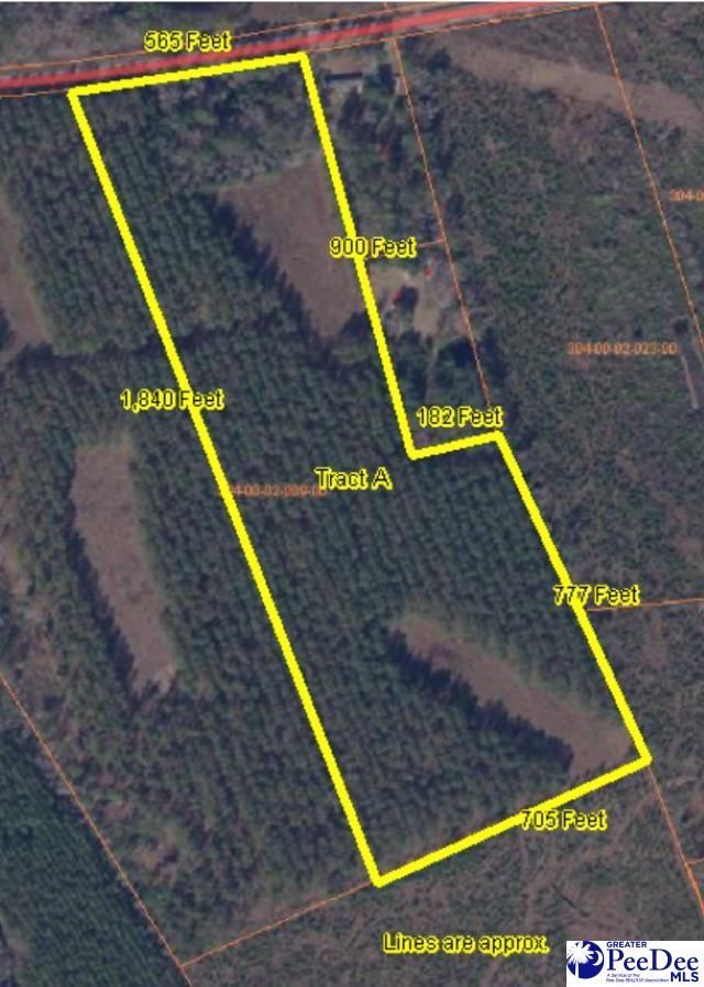 9214 Kingstree Hwy (tract A) Photo 4