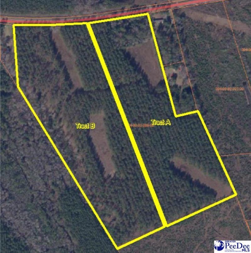 9214 Kingstree Hwy (tract A) Photo 5