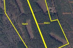 9214 Kingstree Hwy (tract A) photo 4