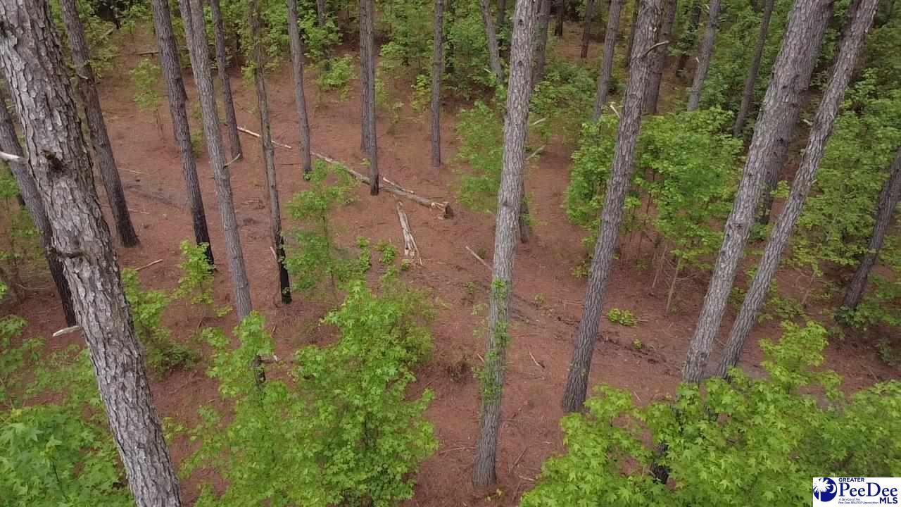 9214 Kingstree Hwy (tract A) Photo 8
