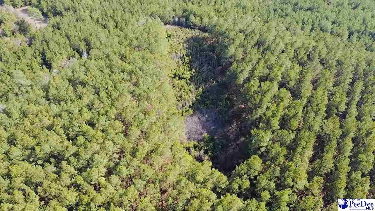 9214 Kingstree Hwy (tract A) Photo 9
