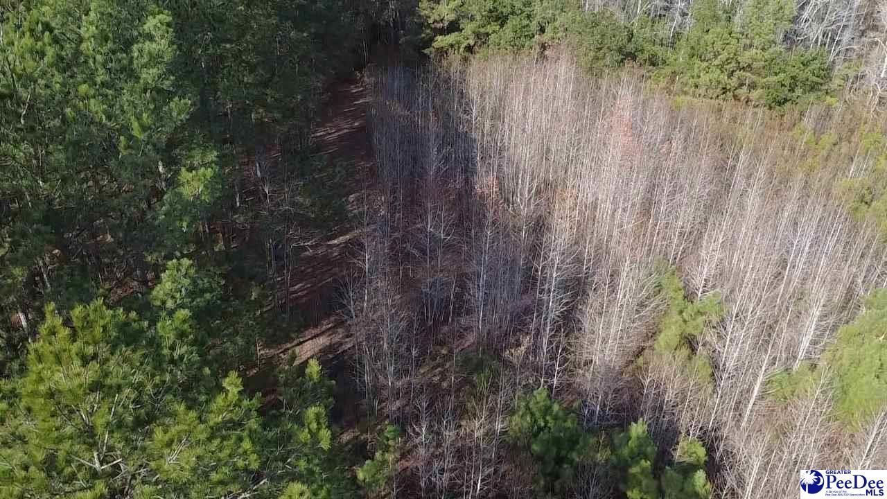9214 Kingstree Hwy (tract B) Photo 15