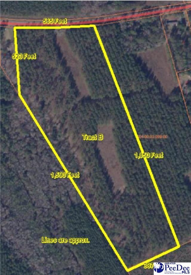 9214 Kingstree Hwy (tract B) Photo 5