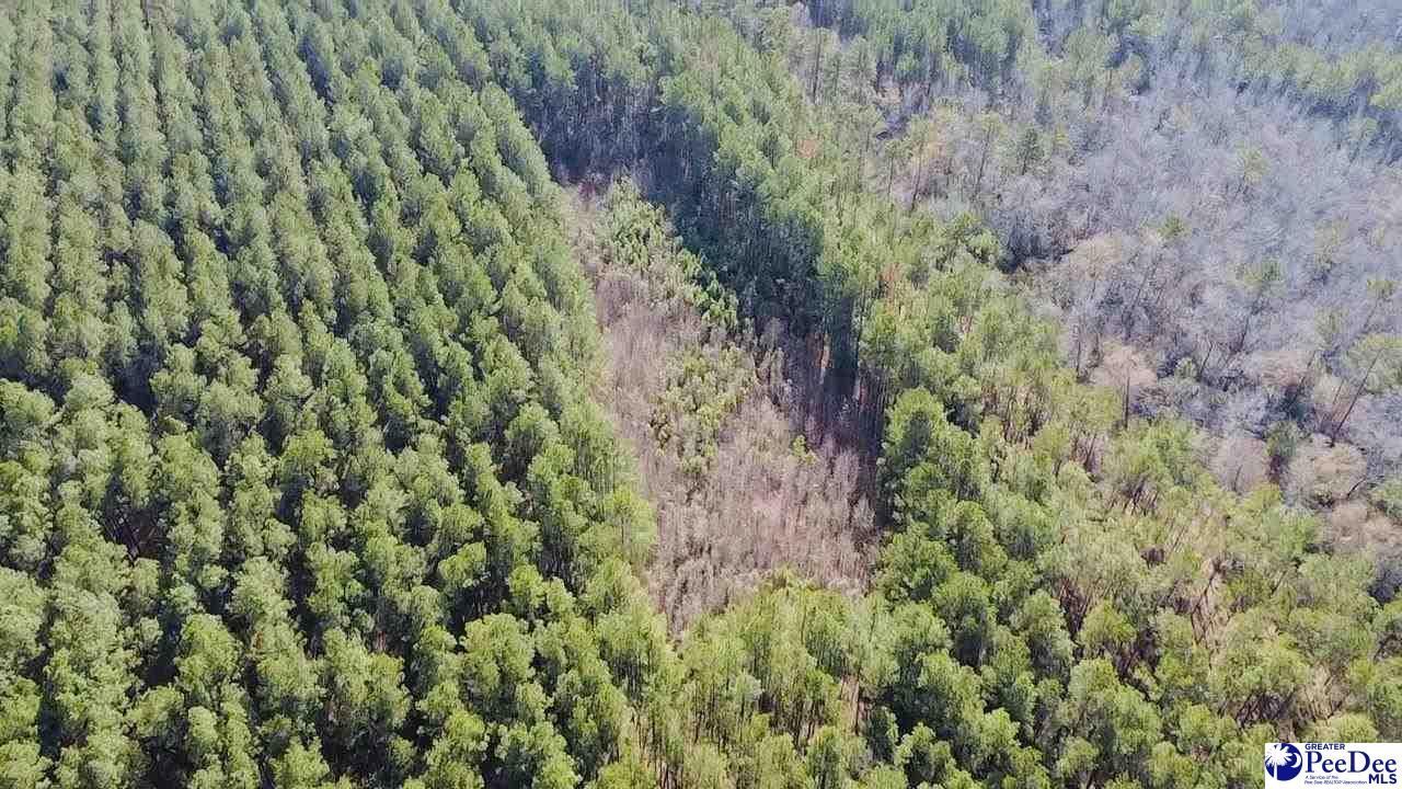 9214 Kingstree Hwy (tract B) Photo 9