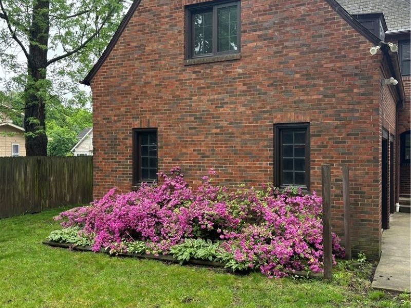 931 Amelia Avenue, Akron, OH 44302 Photo 43