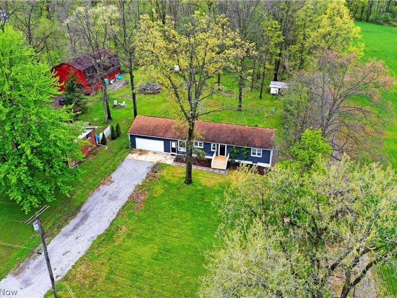 3110 Williams Street NW, Warren, OH 44481 Photo 8