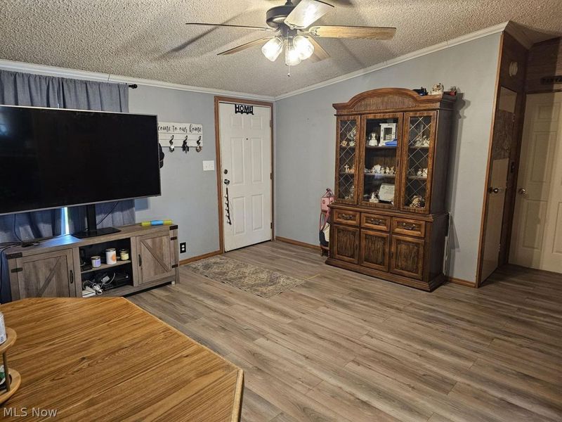 310 Water Street, Jewett, OH 43986 Photo 2