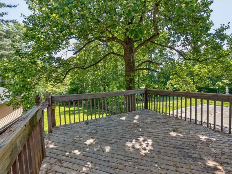 4545 Carnation Avenue, Cincinnati, OH 45238 Photo 38