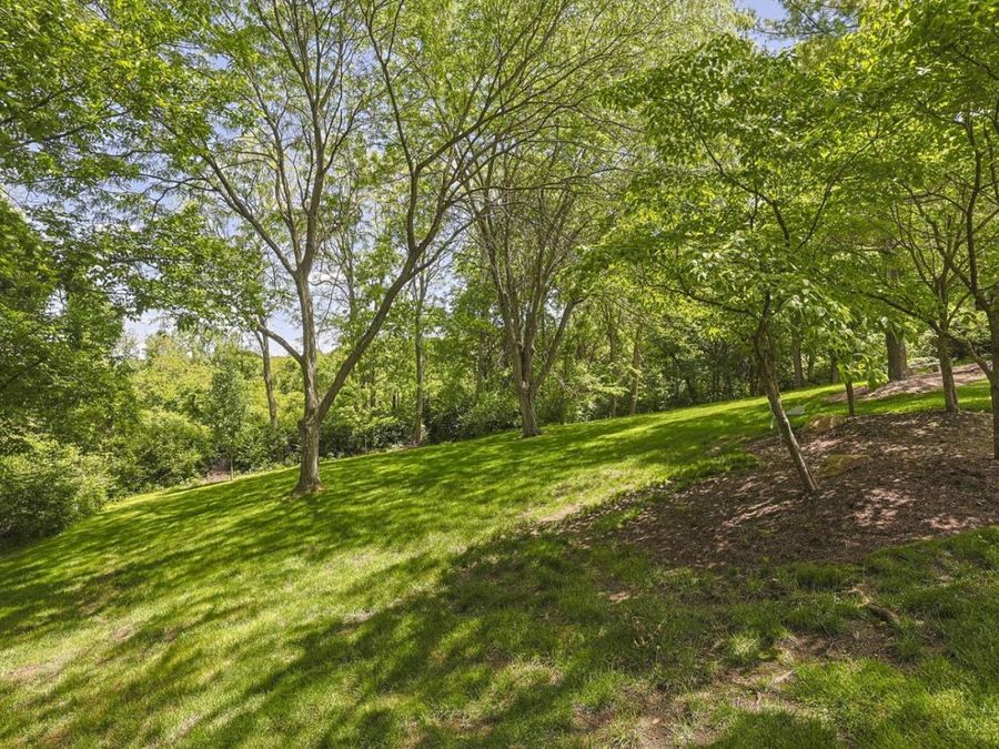 Property Image 60