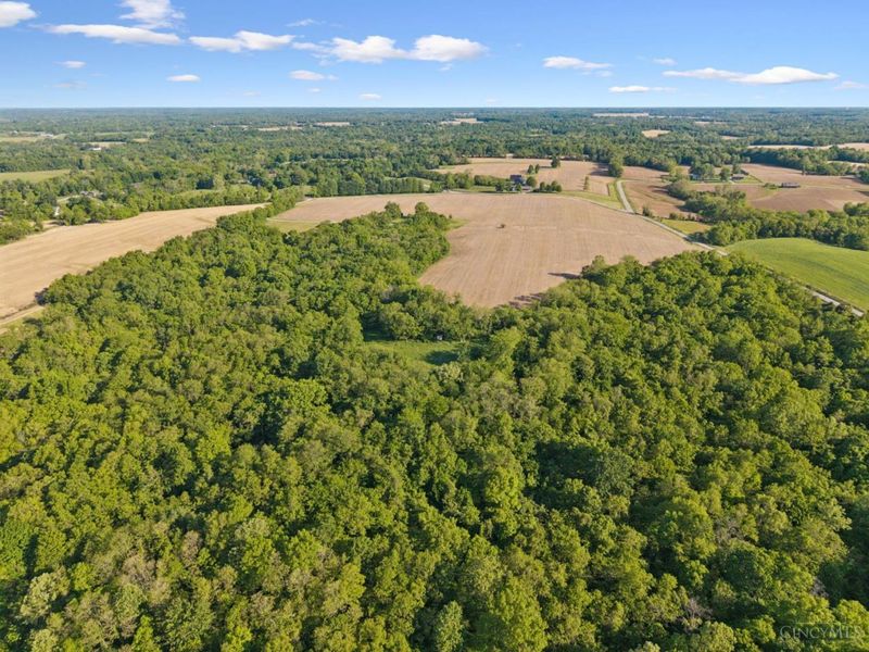 1976 Shinkles Ridge Road, Lewis Twp, OH 45121 Photo 48