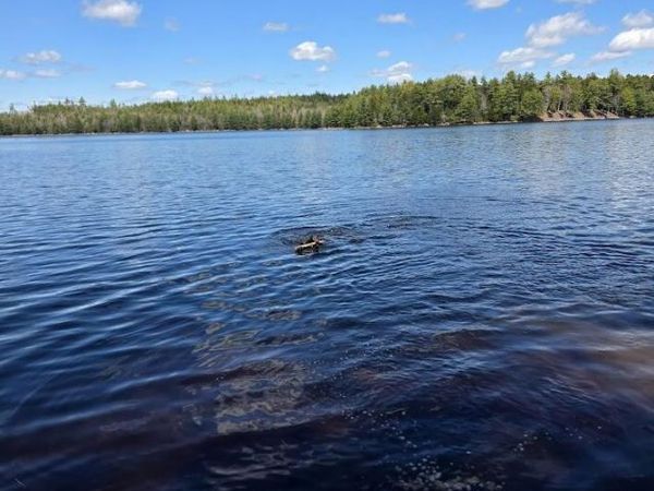 off Northfield Road , Marshfield, ME 04654