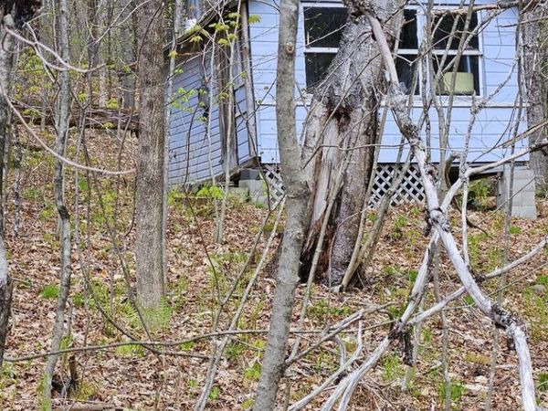 Lot 23 Edes Brook Road , Temple, ME 04984