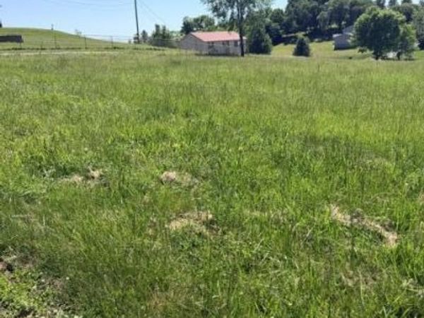 2058 Walters Drive, Bulls Gap, TN 37711