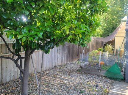 700 2nd St #46, Galt, CA 95632 Photo