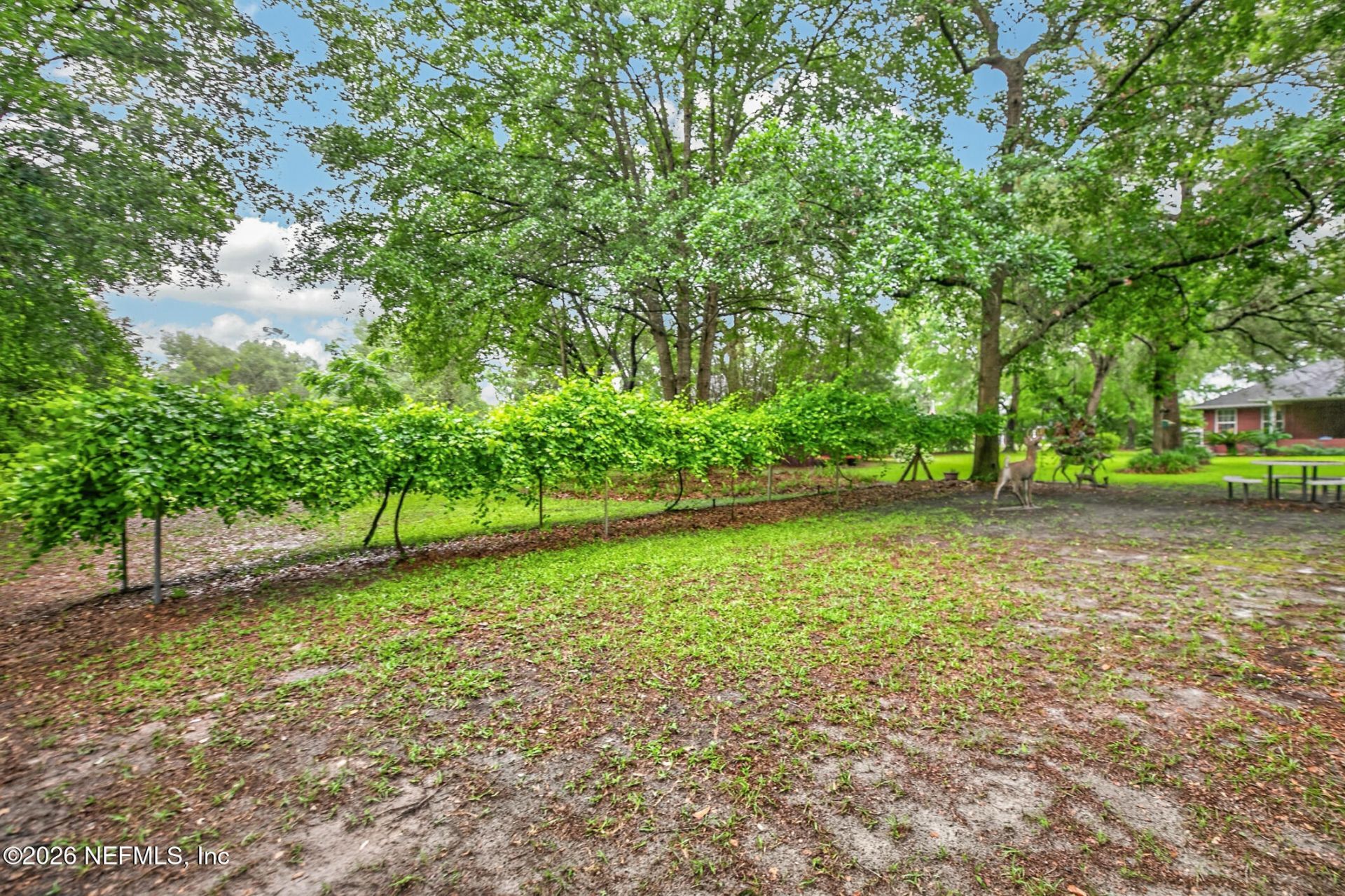 4237 Raintree Drive, Macclenny, FL 32063 Photo
