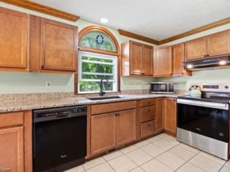 1029 Reedy Drive, Wadsworth, OH 44281 Photo 3