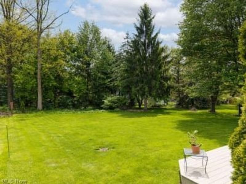 1029 Reedy Drive, Wadsworth, OH 44281 Photo 30