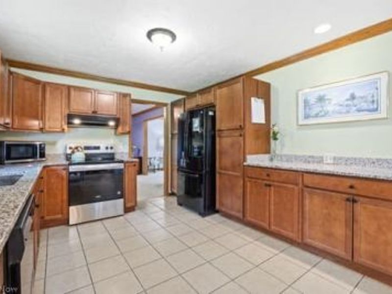 1029 Reedy Drive, Wadsworth, OH 44281 Photo 4