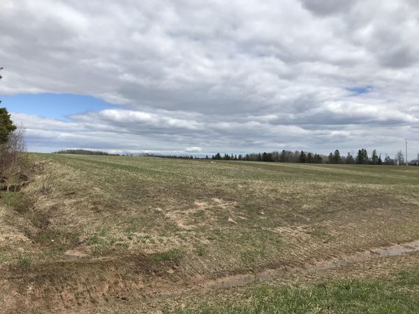 TBD S Clegg Road, Pickford, MI 49774