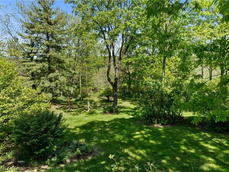 66700 Pancoast Road S, Belmont, OH 43718 Photo 41