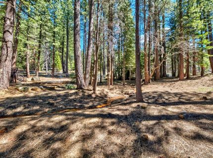 1444 Apache Avenue, South Lake Tahoe, CA 96150 Photo