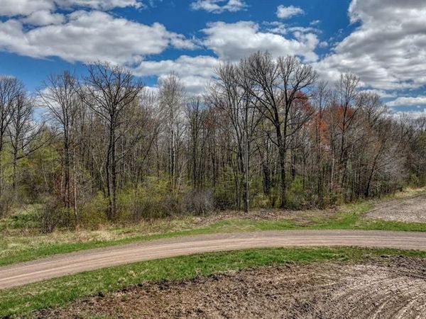 27.6 Acres on Helena Drive, Conrath, WI 54731