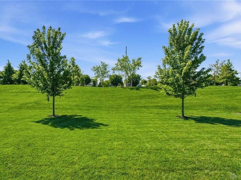 4131 Spicebush Drive, Tipp City, OH 45371 Photo 77